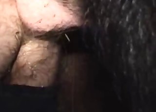Hardcore