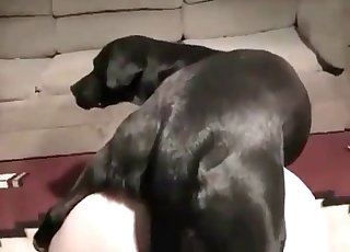 Anal